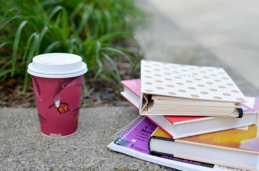 loose leaf textbook